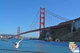 Golden Gate Bridge